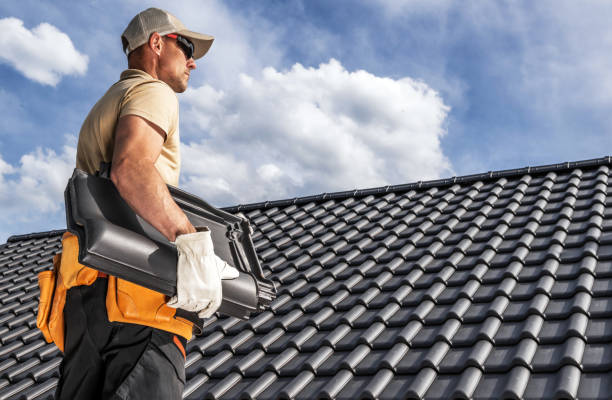 Best Roof Ventilation Installation  in USA